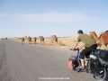 galeria_10D063_0352