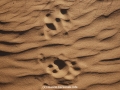 galeria_10D063_0777