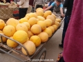 galeria_10D065_052