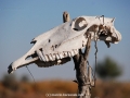 galeria_10D066_081
