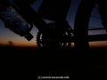 galeria_10D066_129