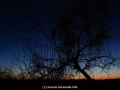 galeria_10D066_144
