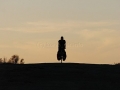 galeria_10D066_650
